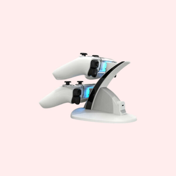 Premium Dock Oplaadstation